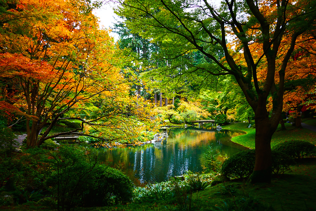 Portrait on a small bridge in Nitobe Memorial Garden with reflective pond.