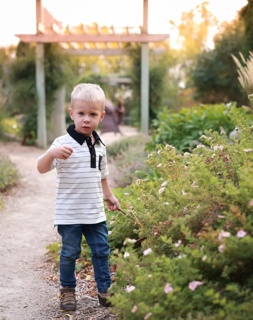 young boy fall portrait