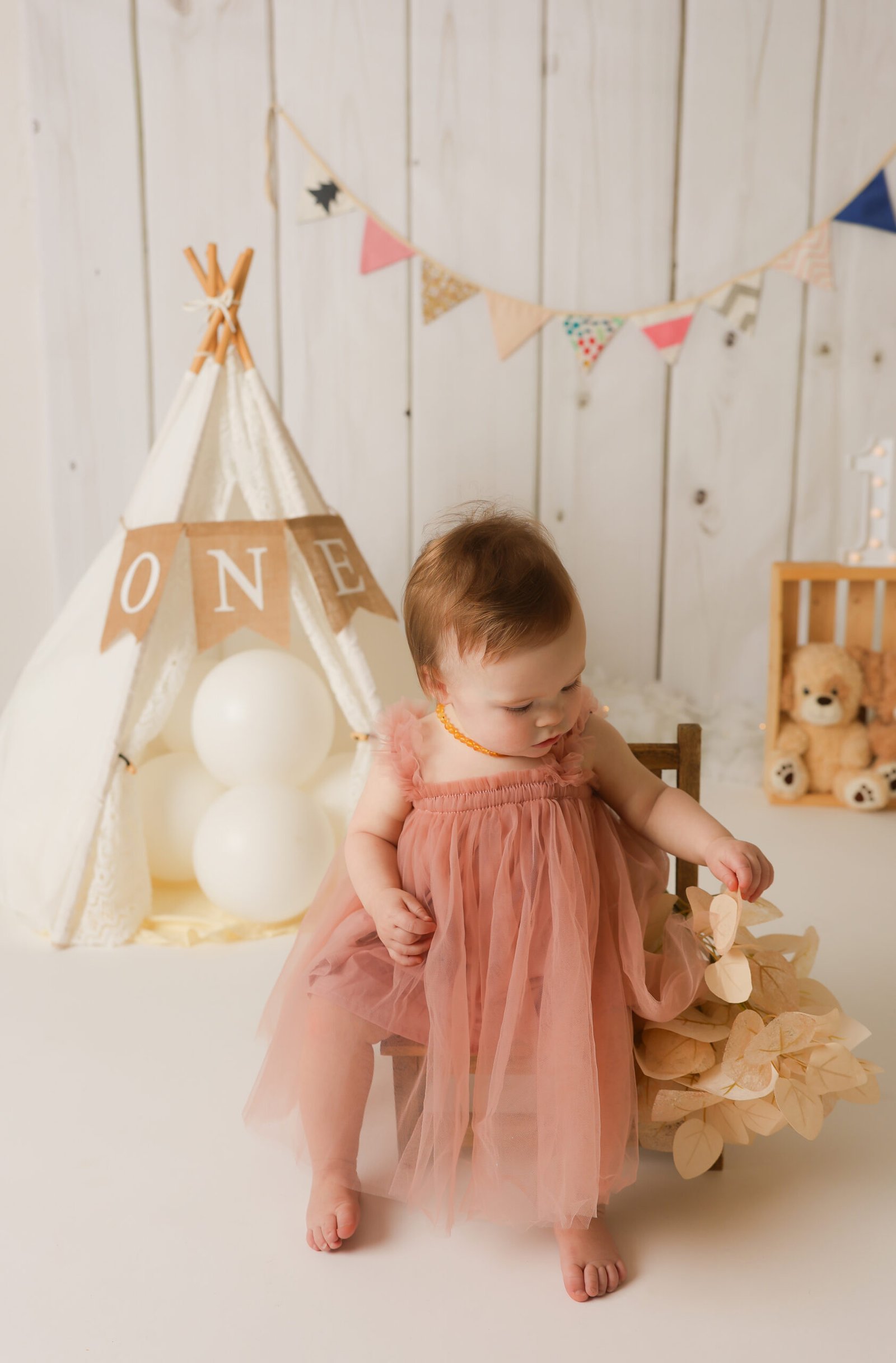 Baby Girl Pink Dress First Birthday Portrait, photo 6