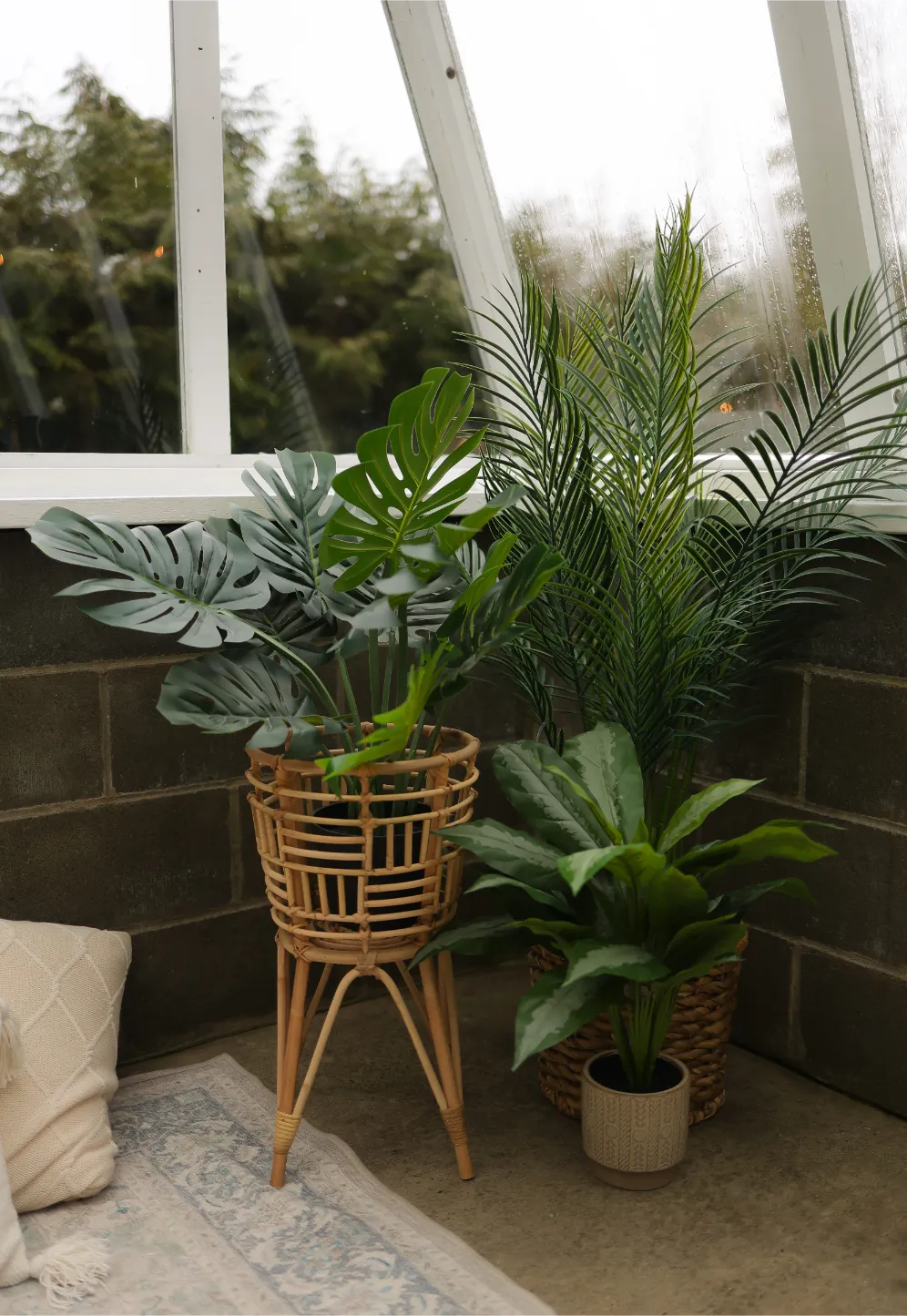 Greenhouse Family Lifestyle Session, photo 3