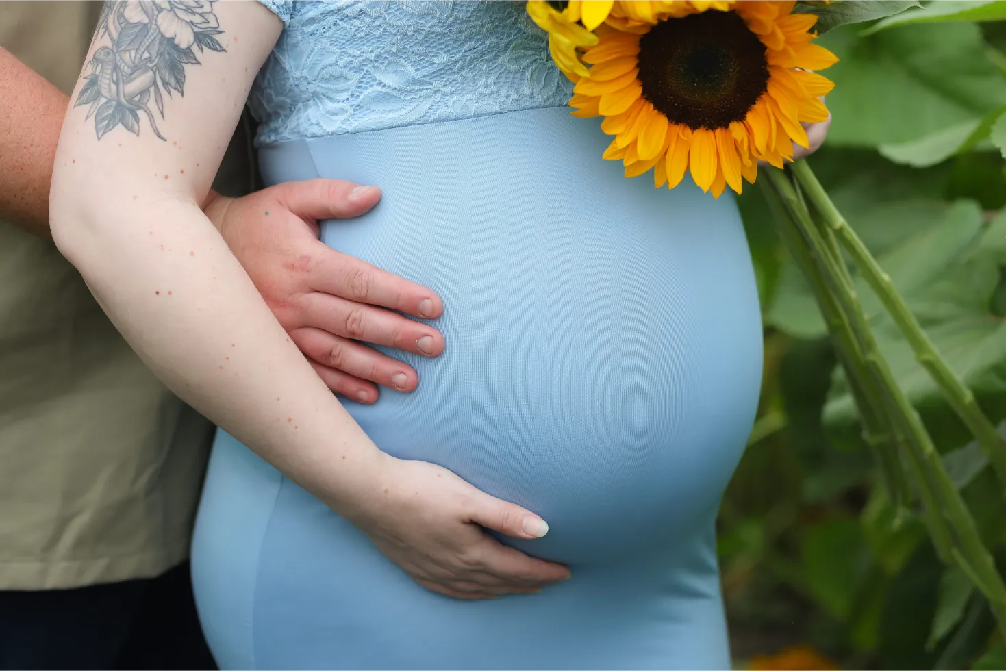 Maternity Belly Sunflower Close Up, photo 3